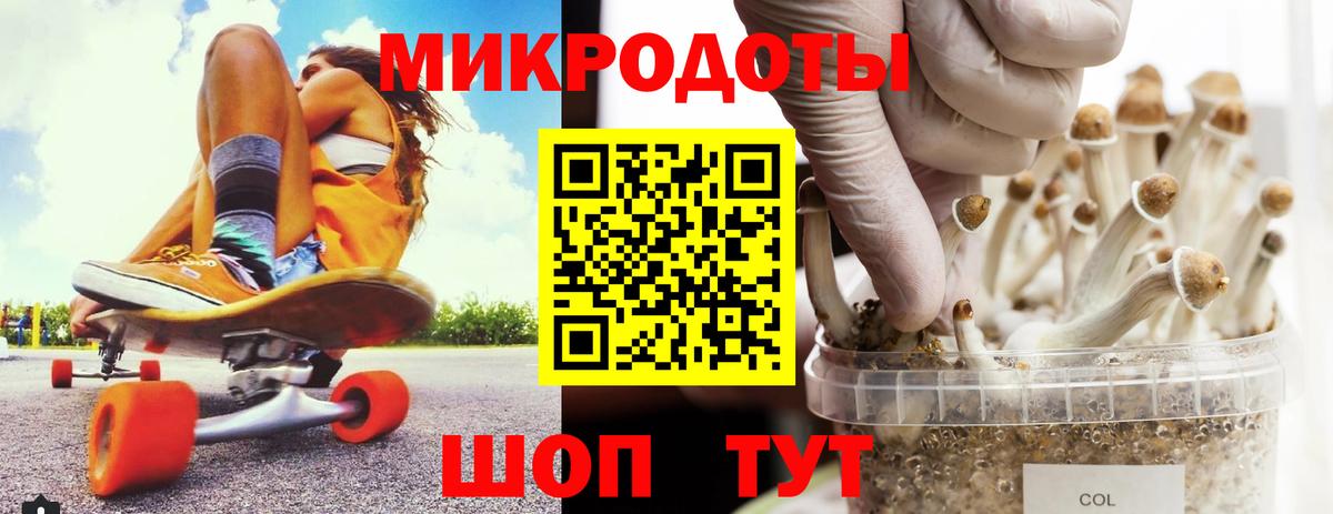 Галлюциногенные грибы Magic Shrooms  Псилоцибиновые грибы прущие грибы  Баксан  Вход с VPN 